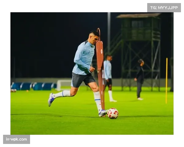 申花米内罗伤愈跟队训练 斯卢茨基锋线选择增加灵活性 申花米内罗伤愈跟队训练 斯卢茨基锋线选择增加灵活性